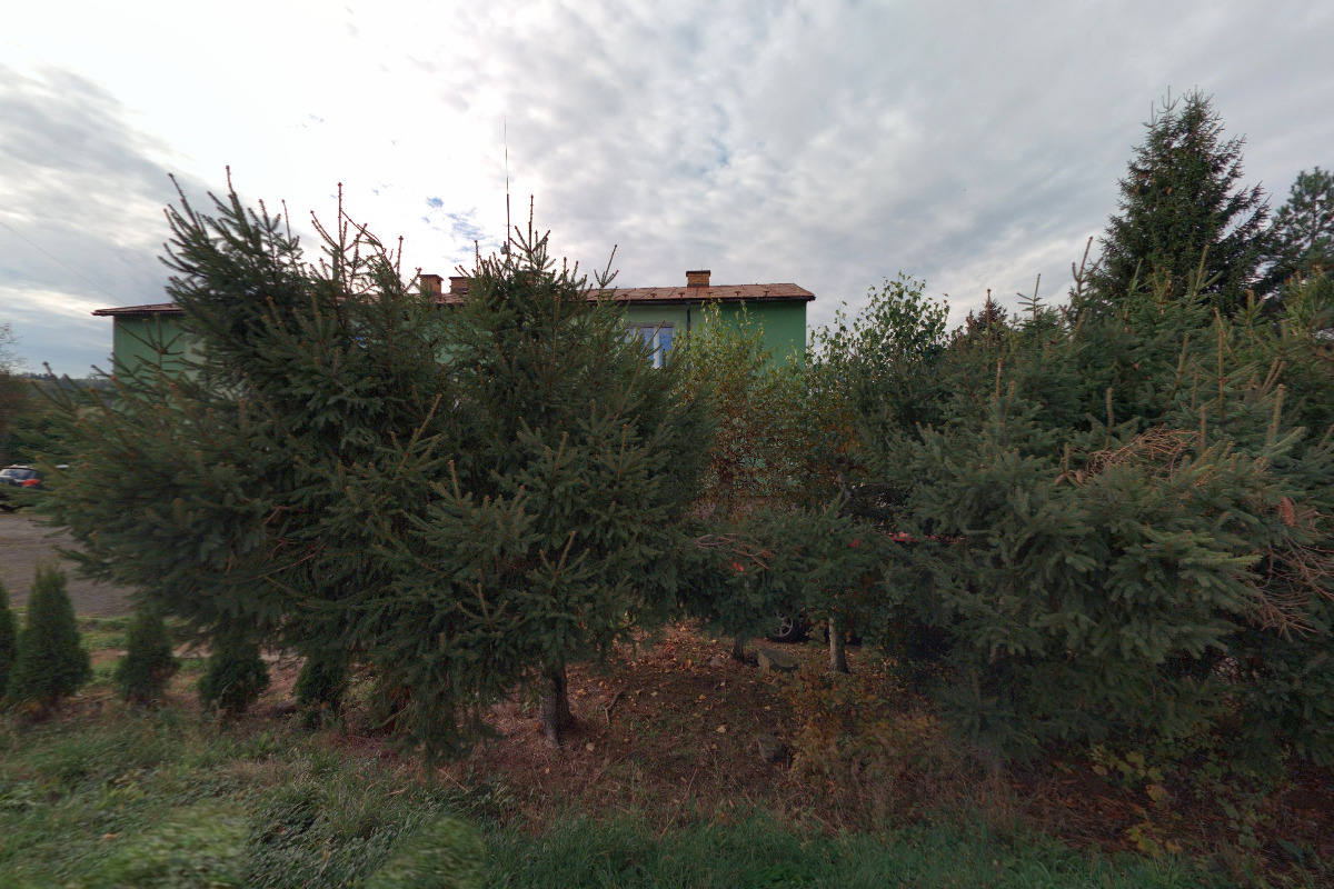 Tea of Paradise foto 2