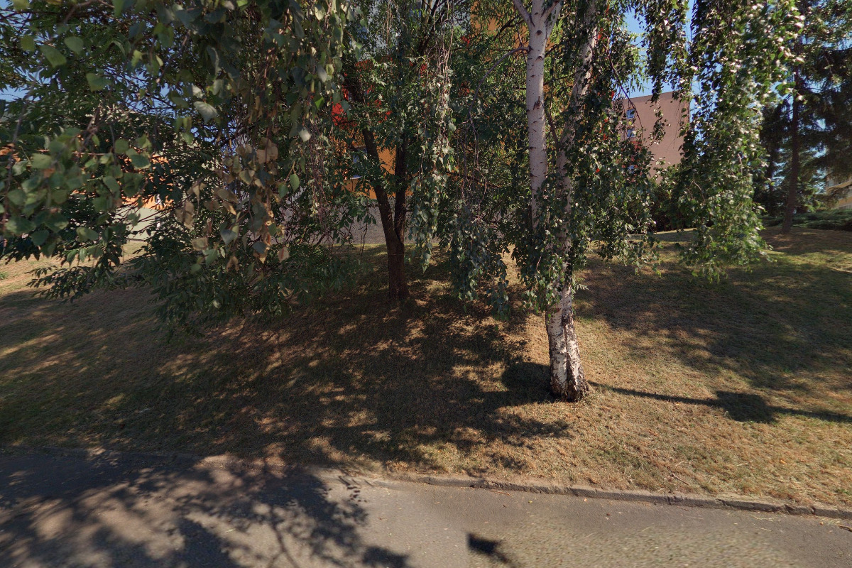 Link Lady - Pavla Zimmermannová foto 4