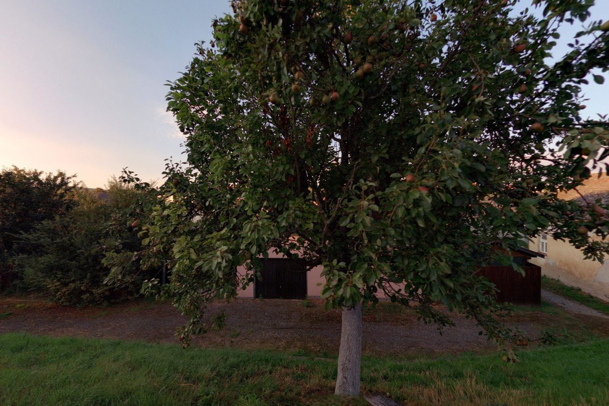 Adam Novák - odtahová služba foto 1