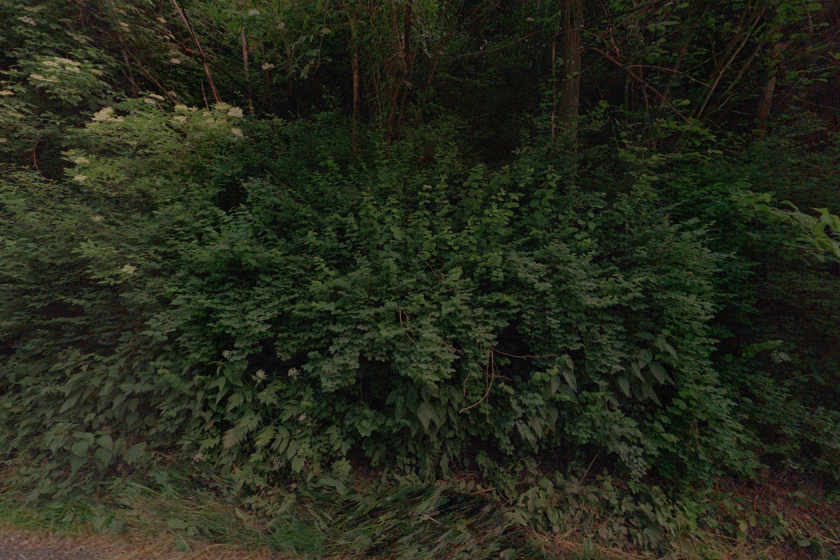 Ubytování Beskydy - chalupa Karolinka foto 2