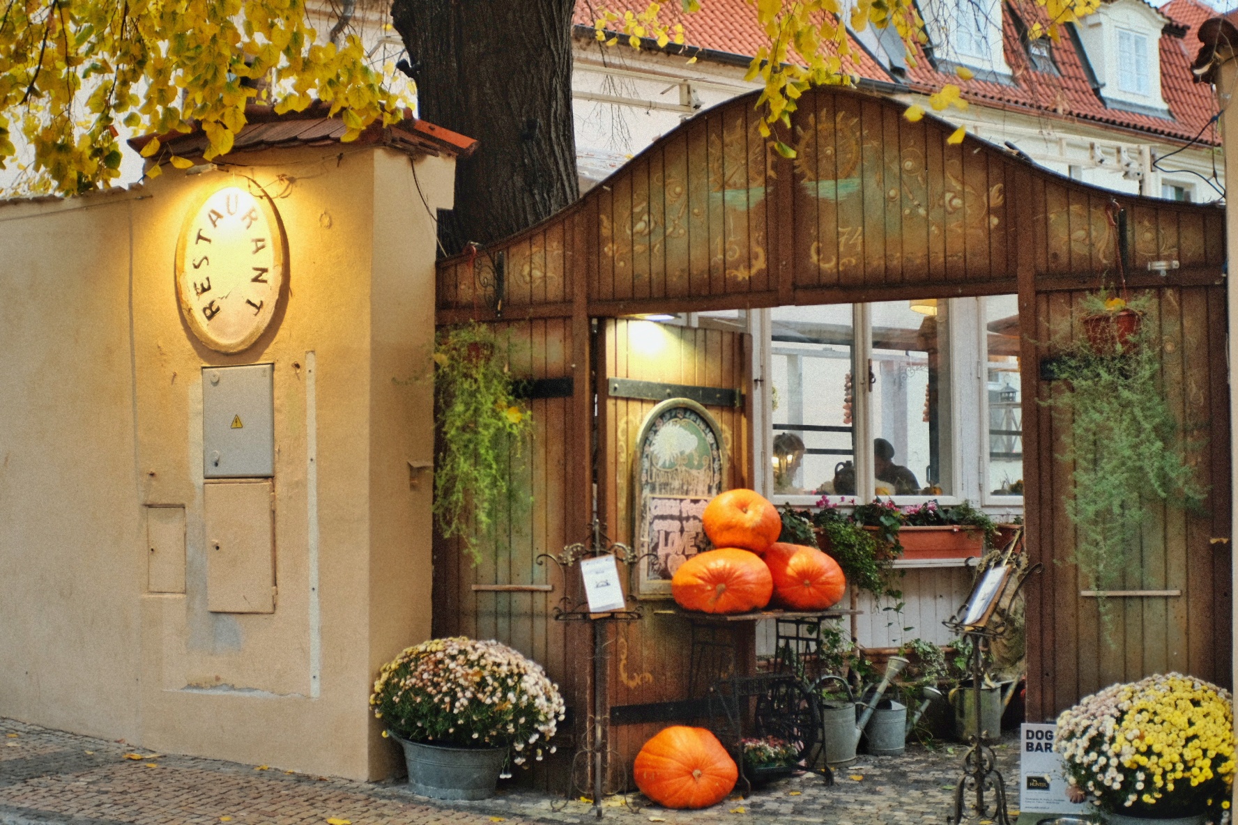 Restaurace Velkopřevorský mlýn foto 4