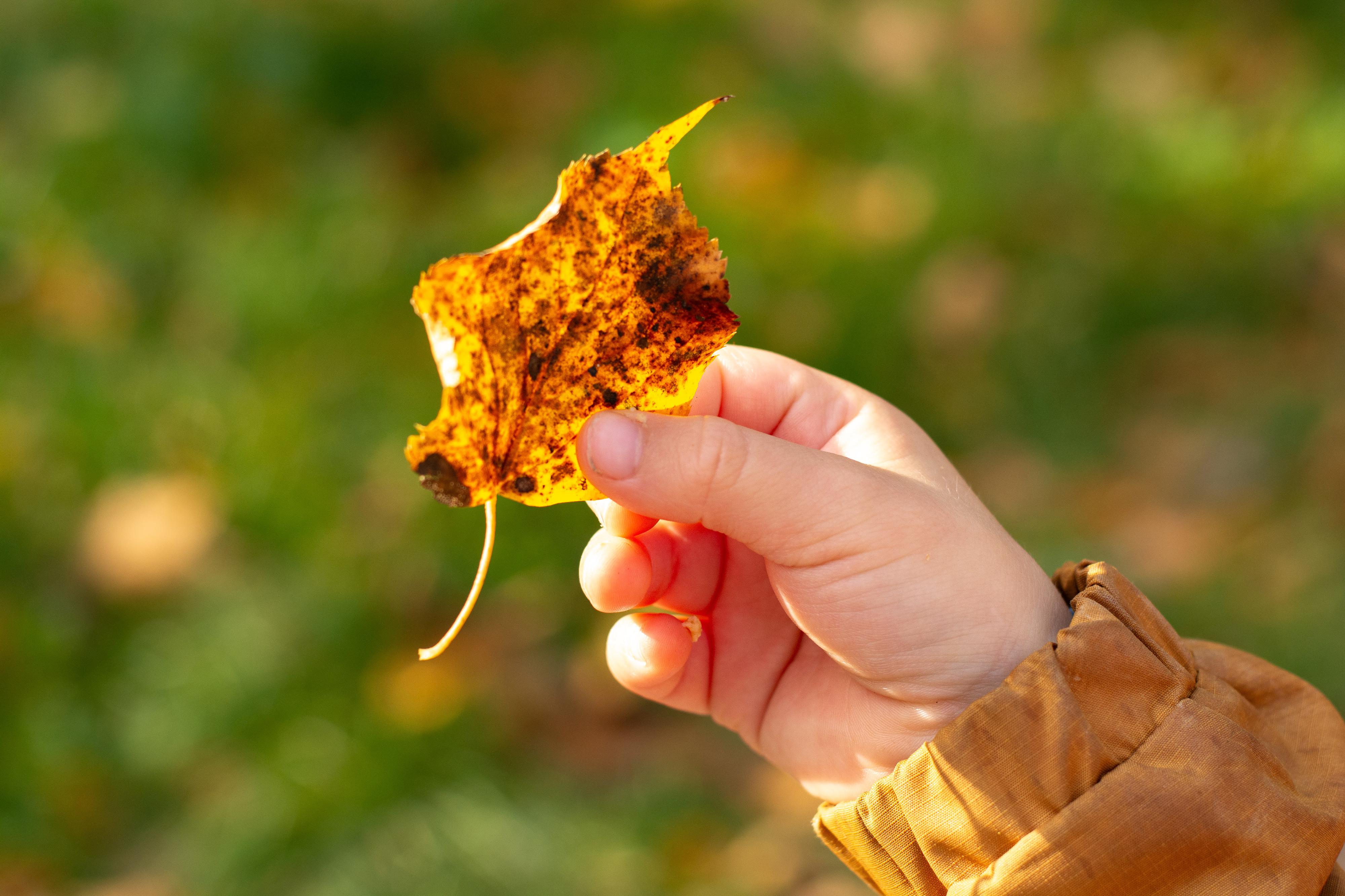 Eliška Vencovská Photography foto 2