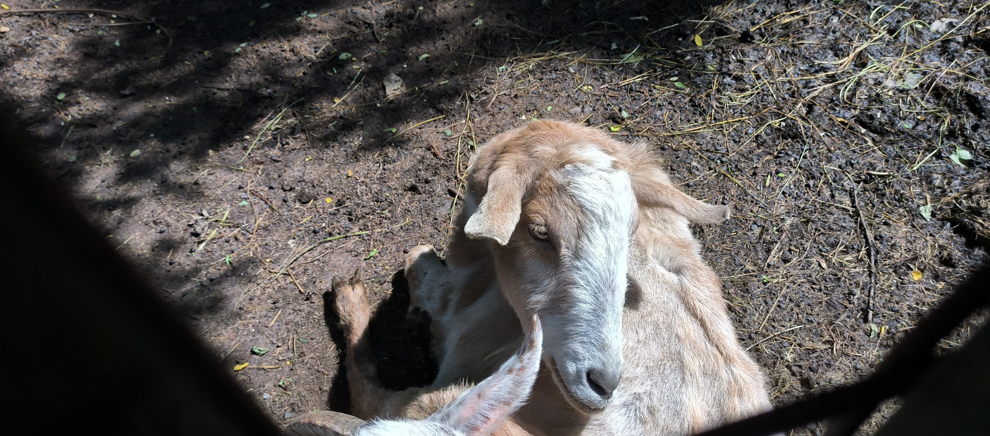 Mlýnská zahrada foto 4