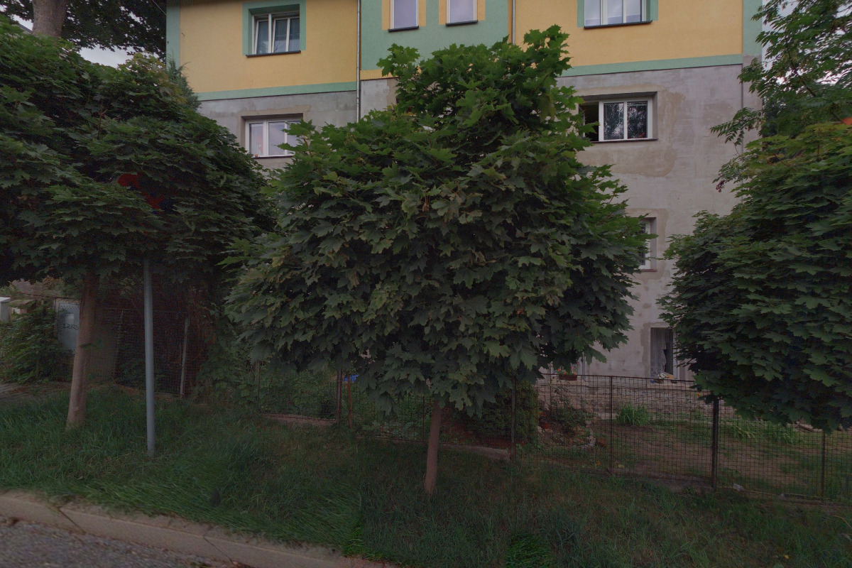 Dagmar Ševčíková