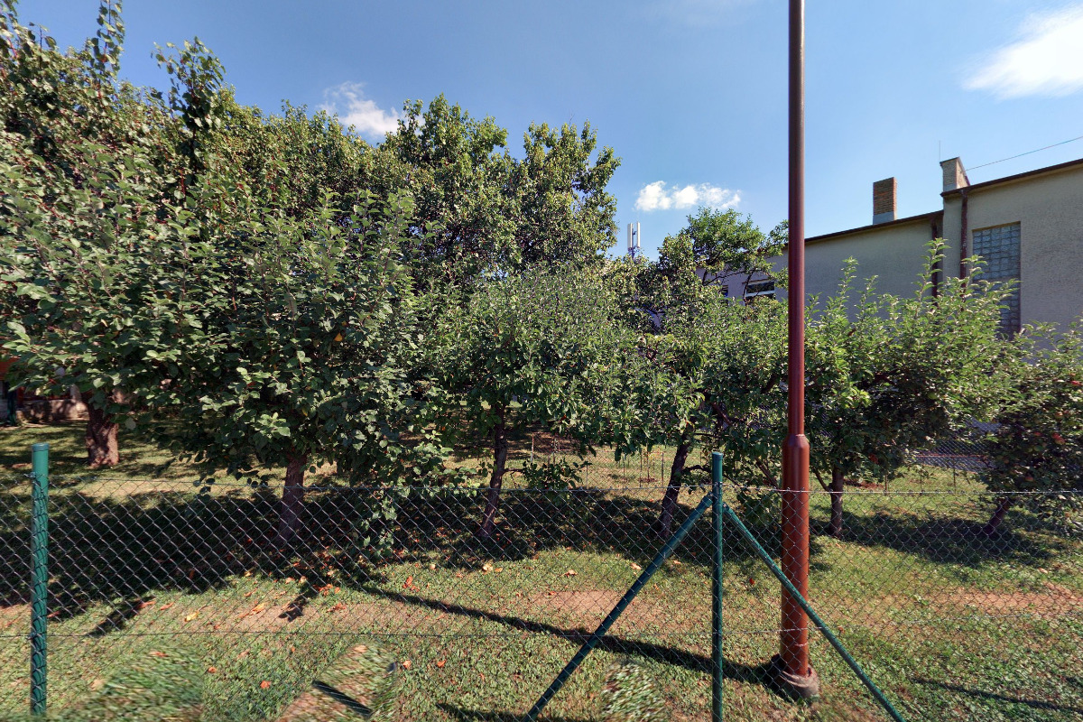 Junák - český skaut, středisko Jantar Polešovice, 1. oddíl Vážany foto 1