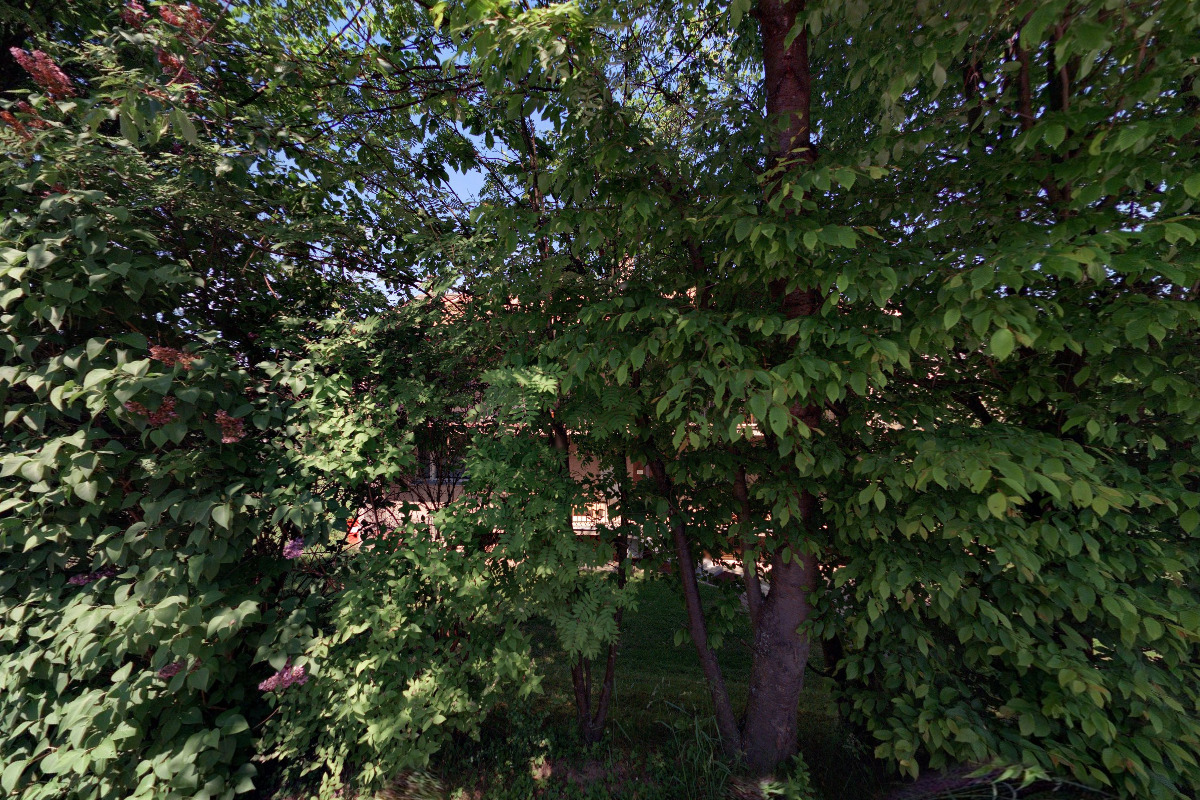 Římskokatolická farnost Vidče