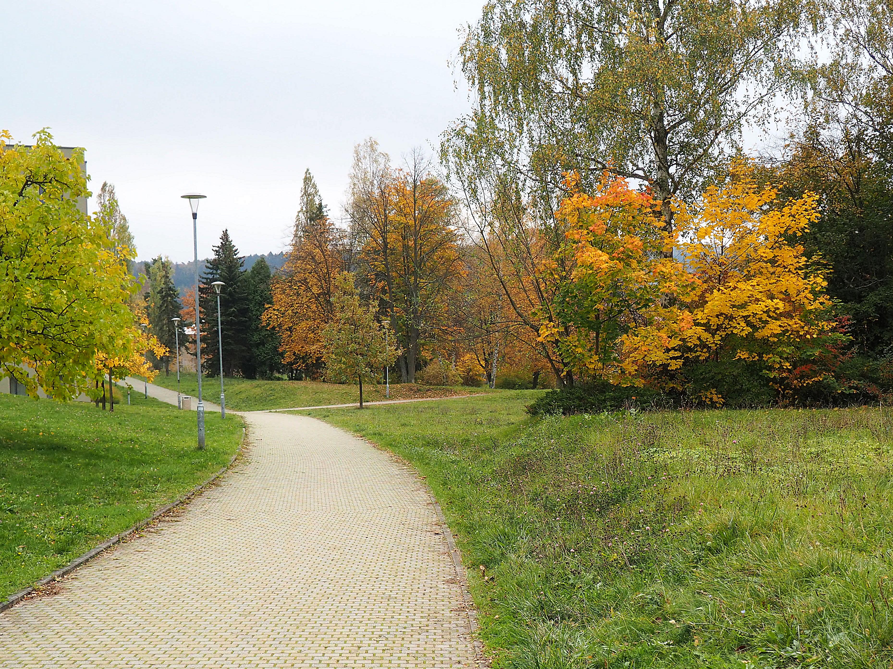 Střední průmyslová škola Ostrov foto 4