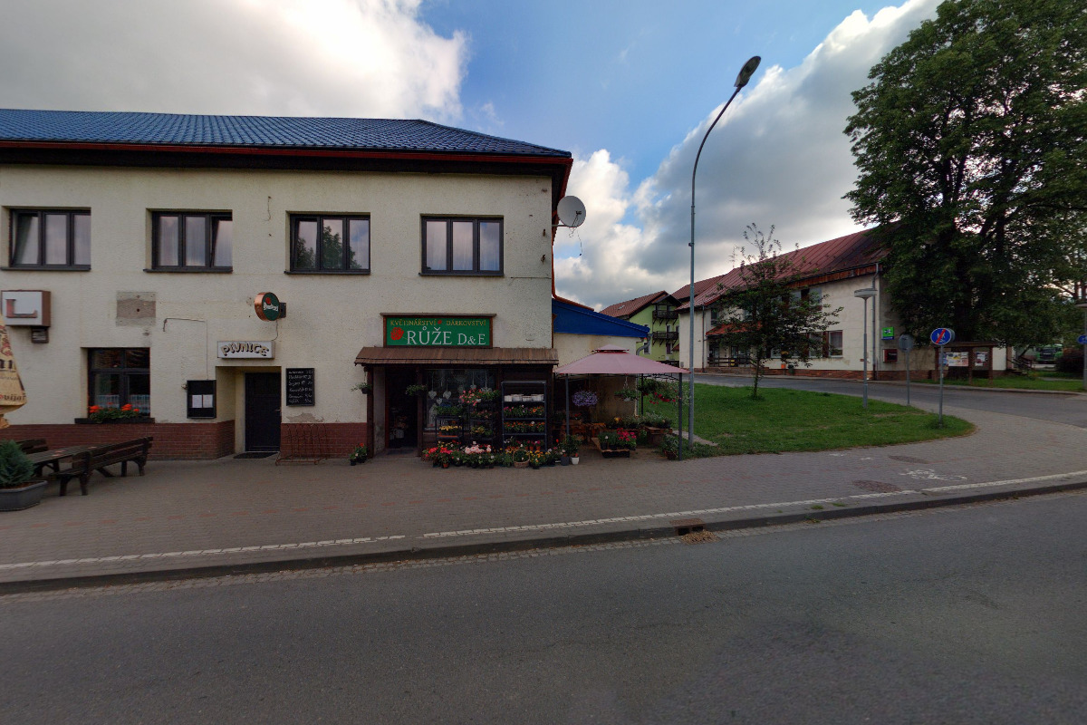 Růže DaE foto 2