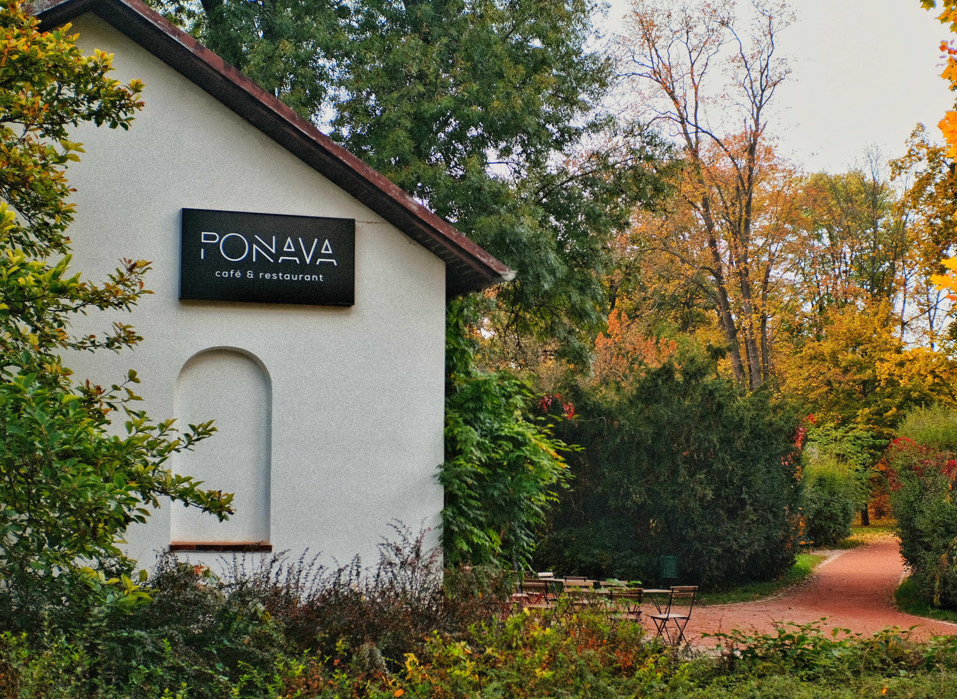 PONAVA.CAFE foto 3