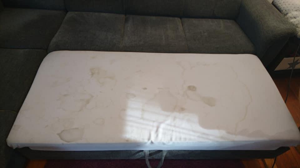 Čištění koberců a čalounění - Lucie Netrhová foto 4