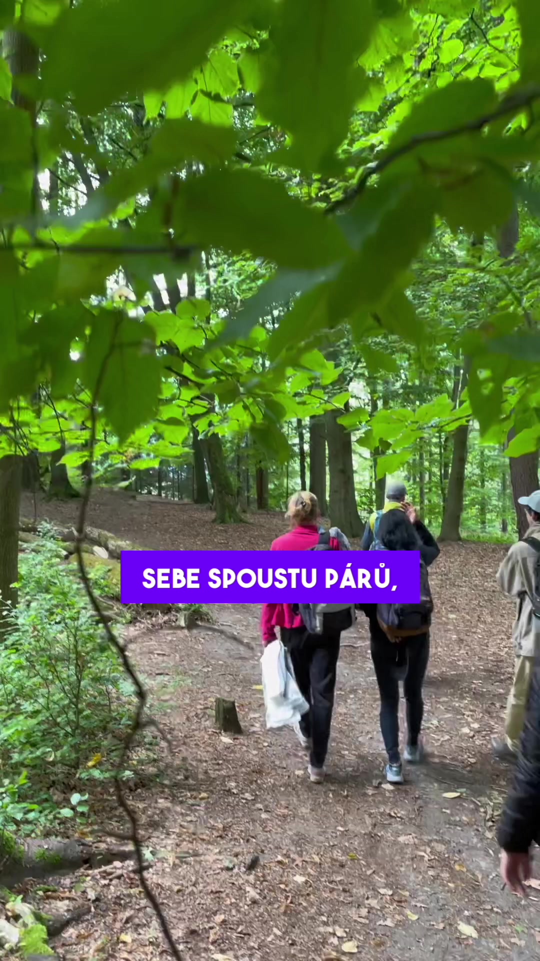 BALU foto 2 (náhled videa)