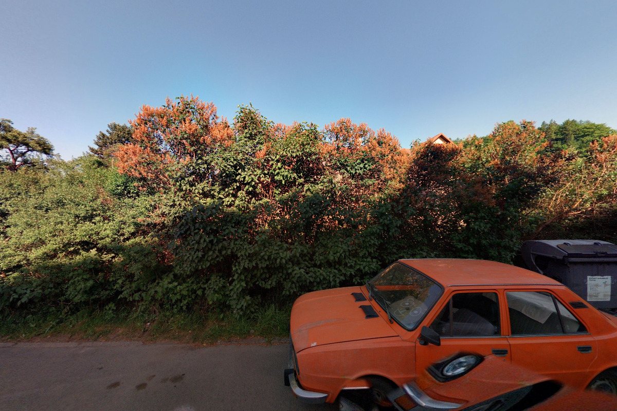 Mgr. Renata Wachtlová, LL.M., advokátka