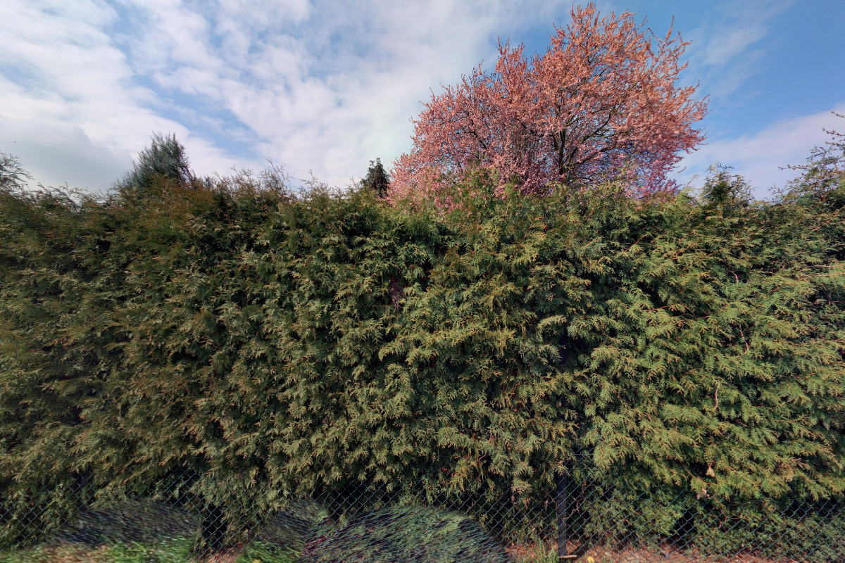 Nábytek Knap foto 2