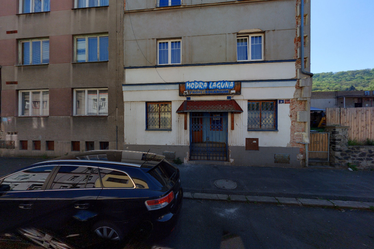 Za Lepší Střekov, politické hnutí