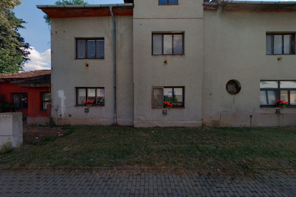 Český svaz chovatelů plnokrevníka a majitelů dostihových koní foto 2