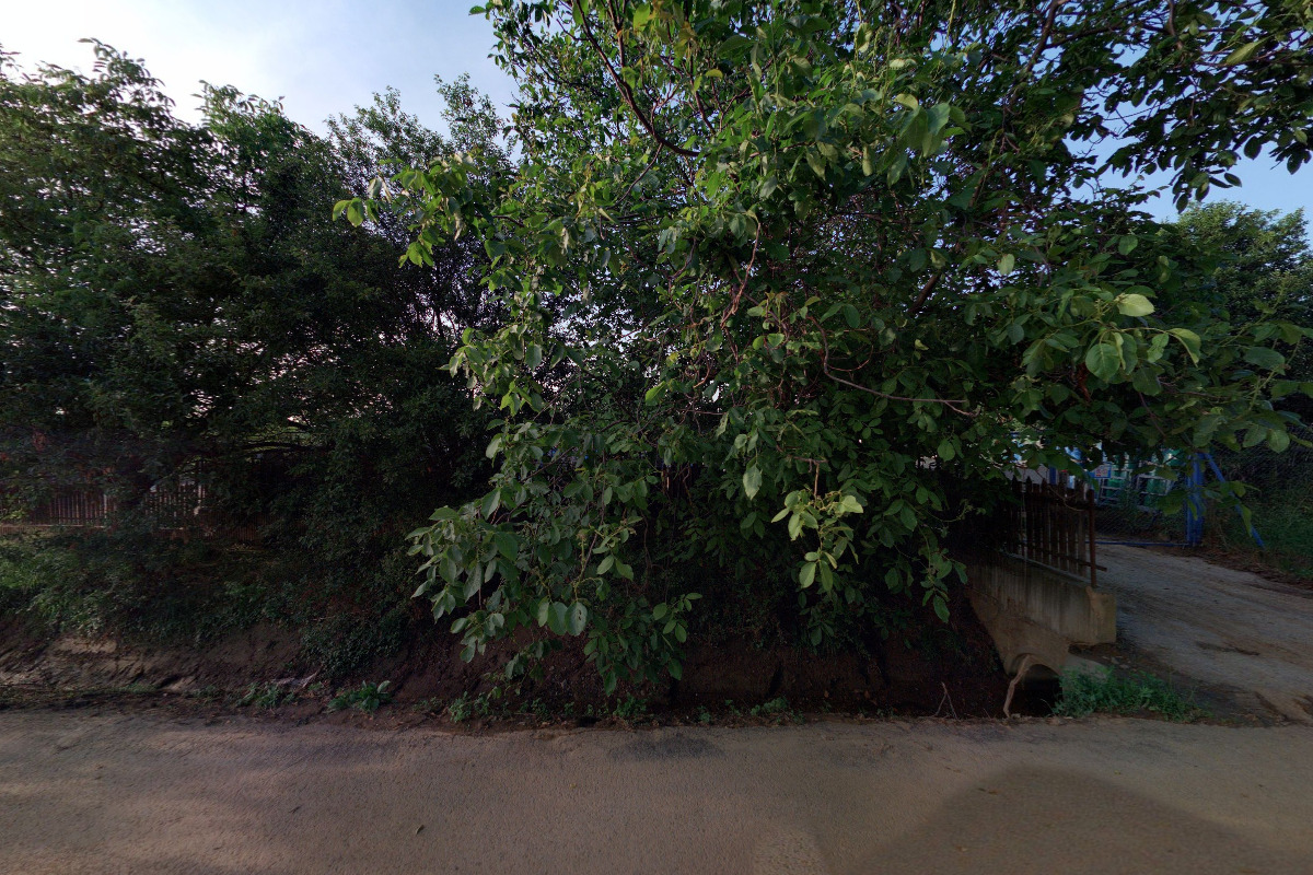 PLEMENÁŘSKÉ SLUŽBY, a.s.