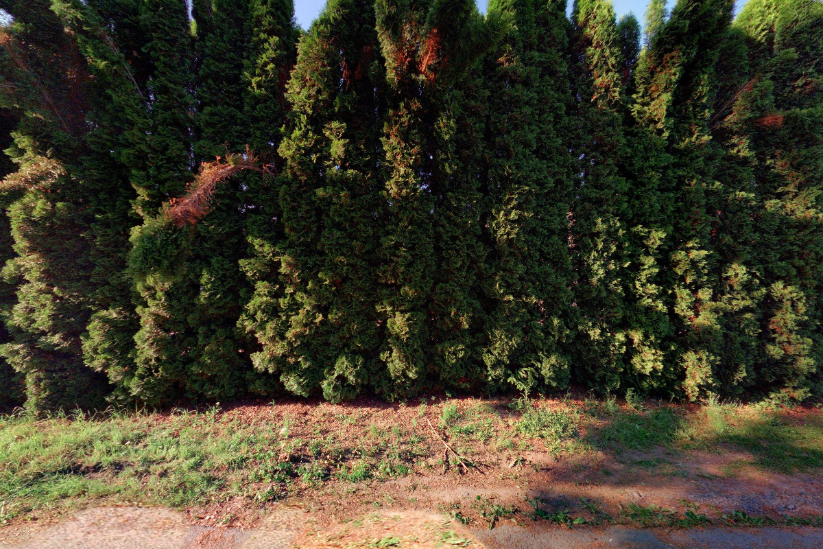 LOANA NANO MEDI, s.r.o.