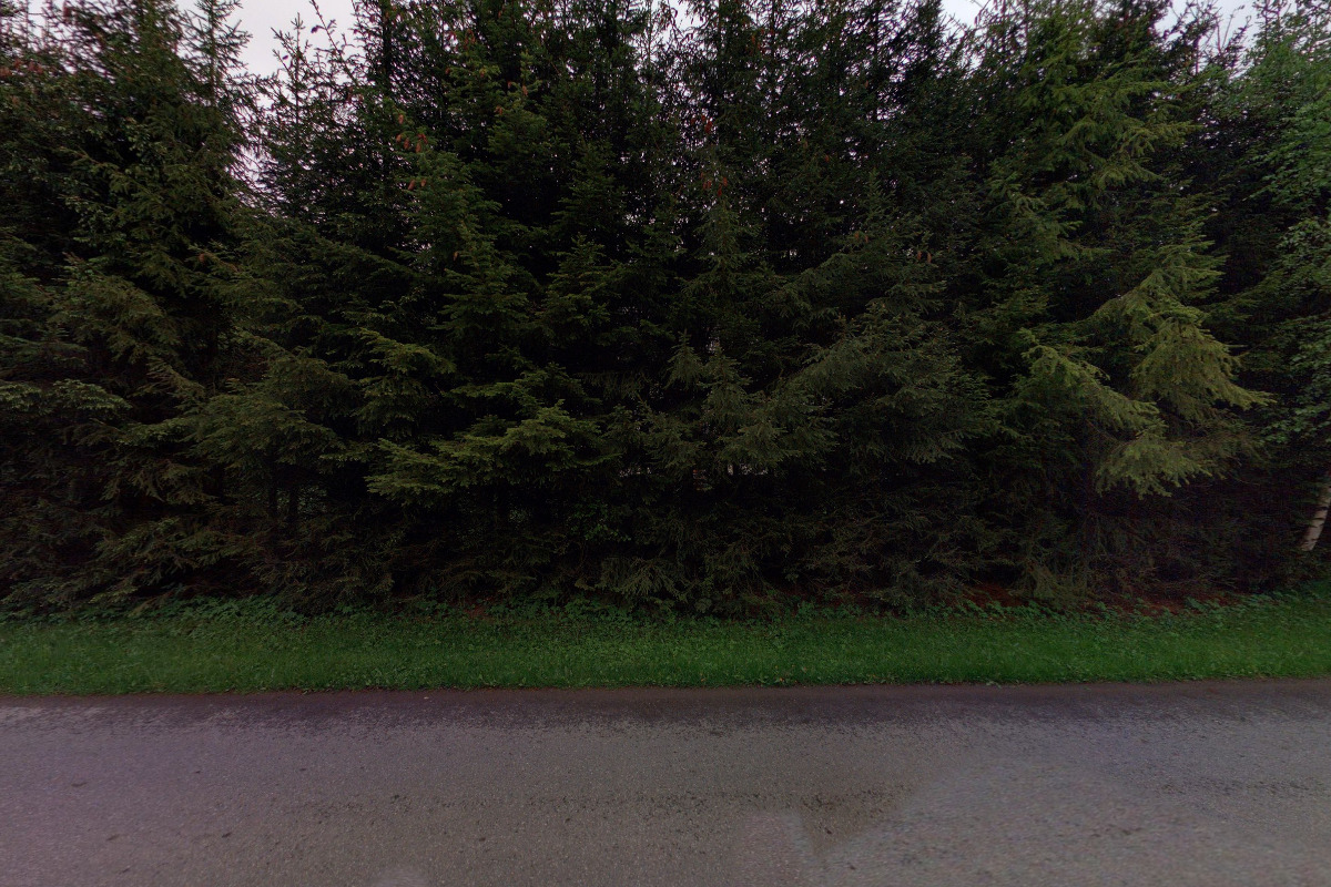 Ubytování Bystřička foto 5