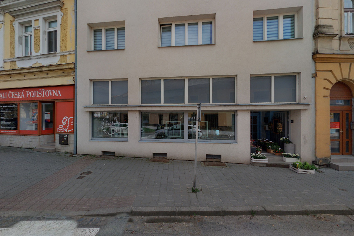 Kvítko foto 2