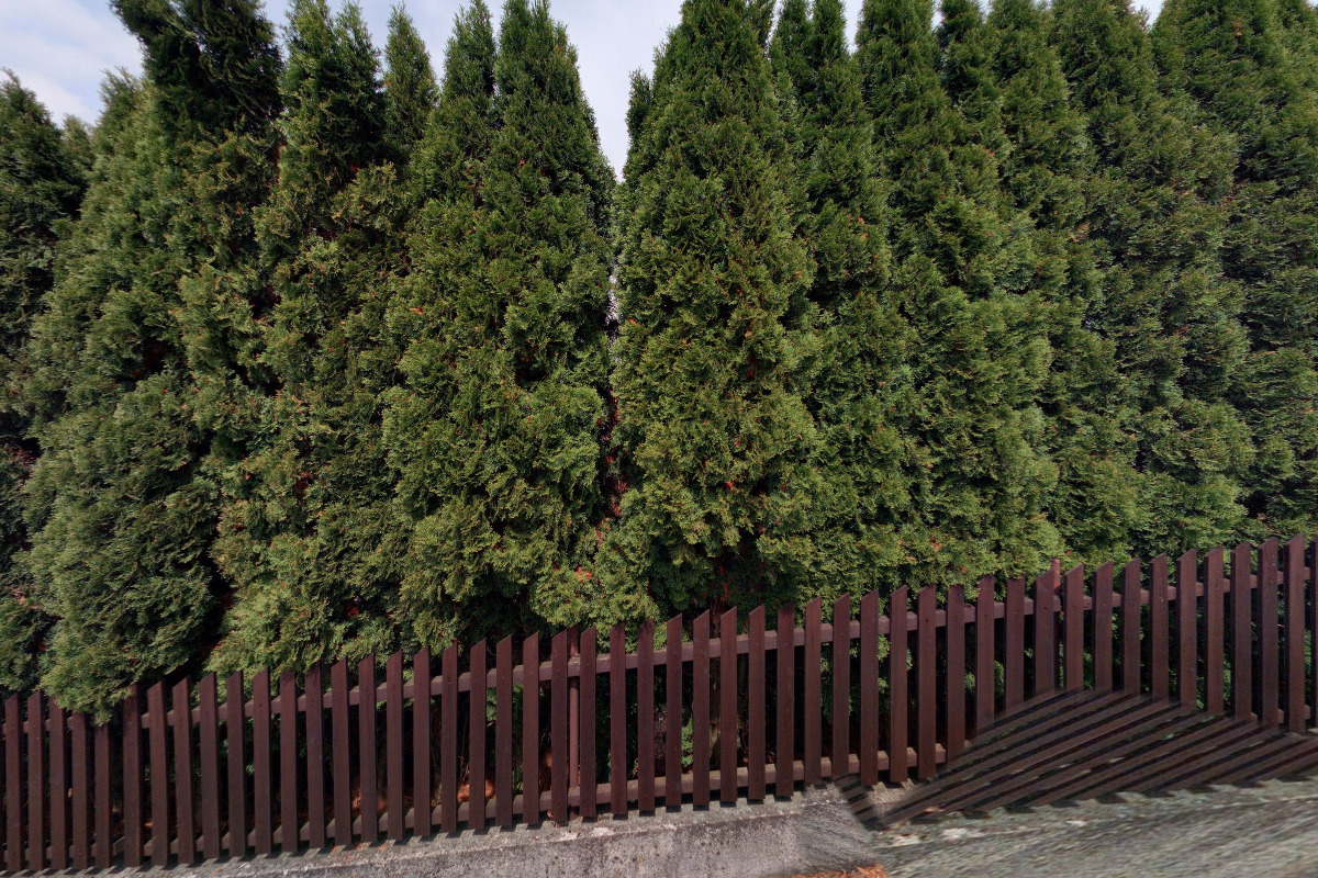 Půjčovna tepovačů - Josef Řehánek foto 3