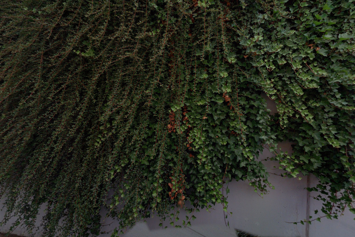 Alexandr Pimachin, Lékař stomatolog foto 2