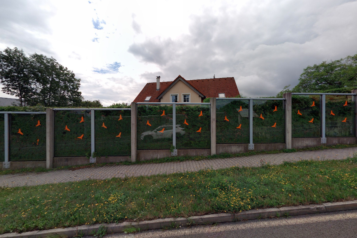 Markéta Stolarzová - pronájem reklamní plochy