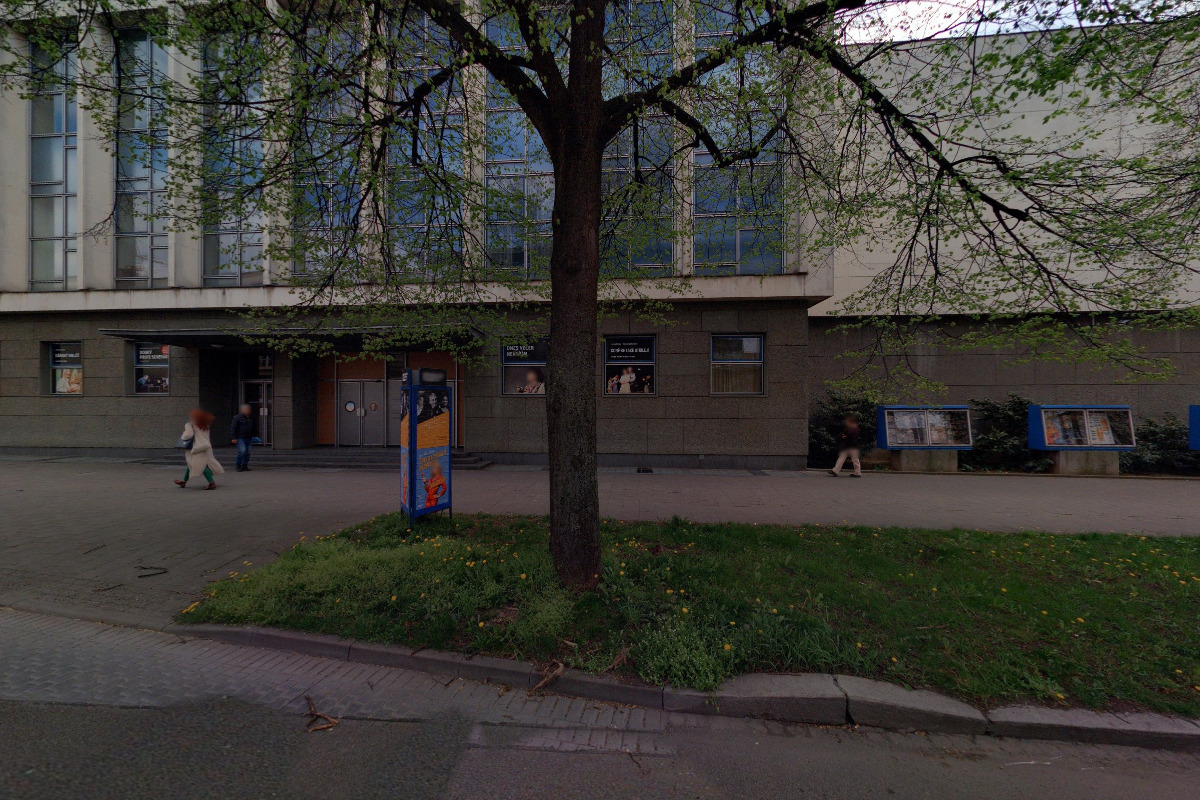 Malé mimi, nadační fond