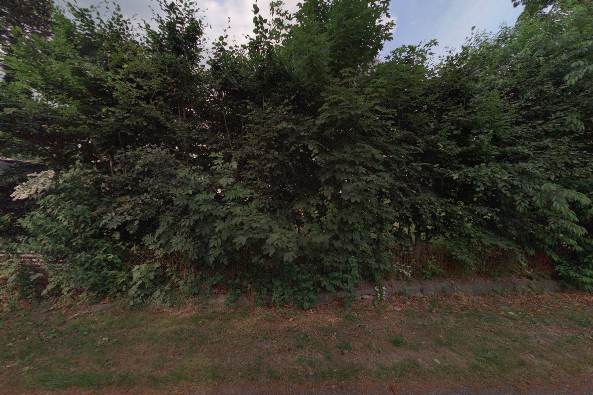 Realitní obchodníci