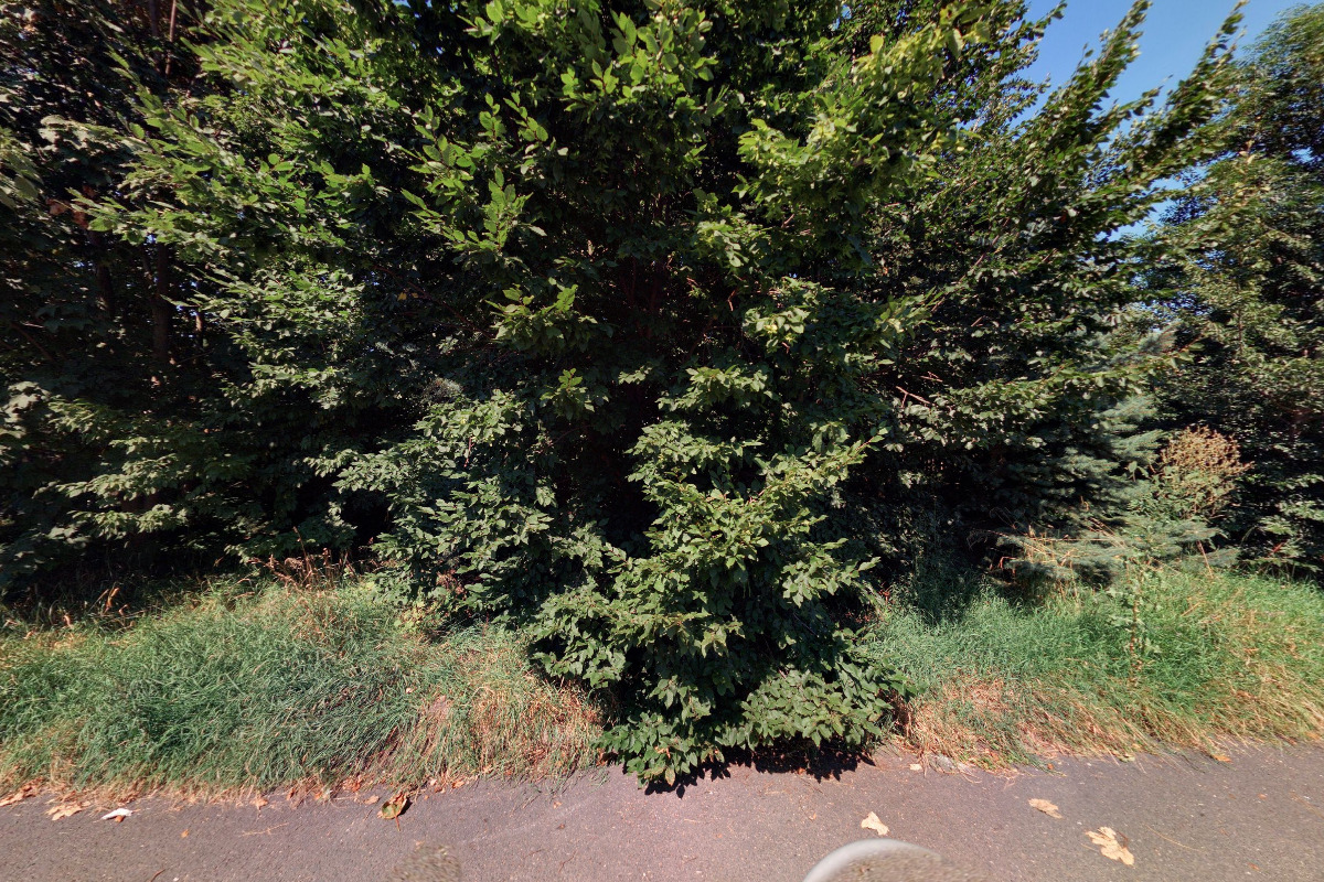 PREMIUM DETAILING CARS s.r.o.