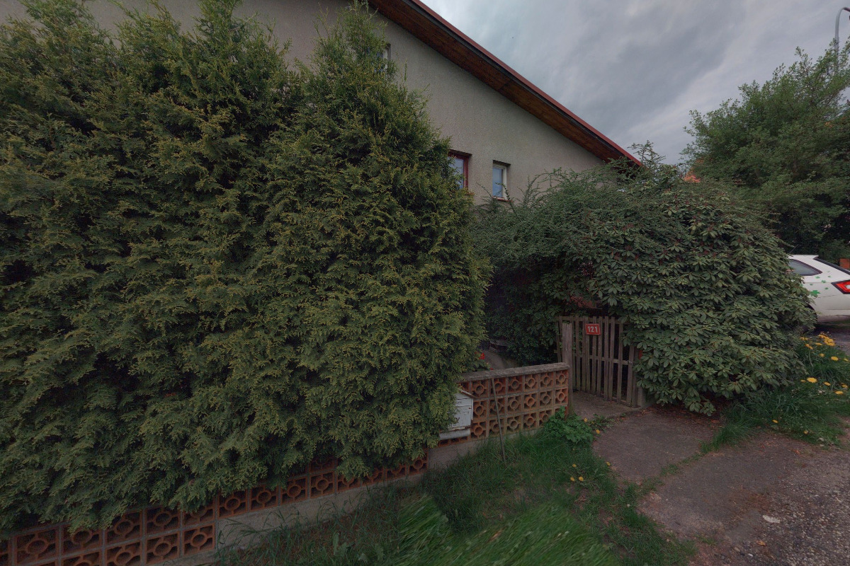 Psí škola u Míši foto 5