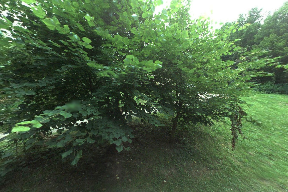 Tesařství Slinták foto 5