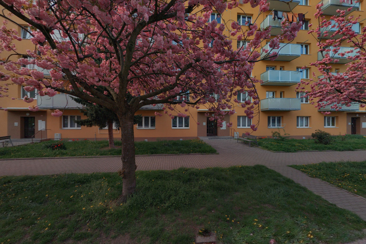 Aleš Dorotík - prodej a servis satelitní techniky foto 2