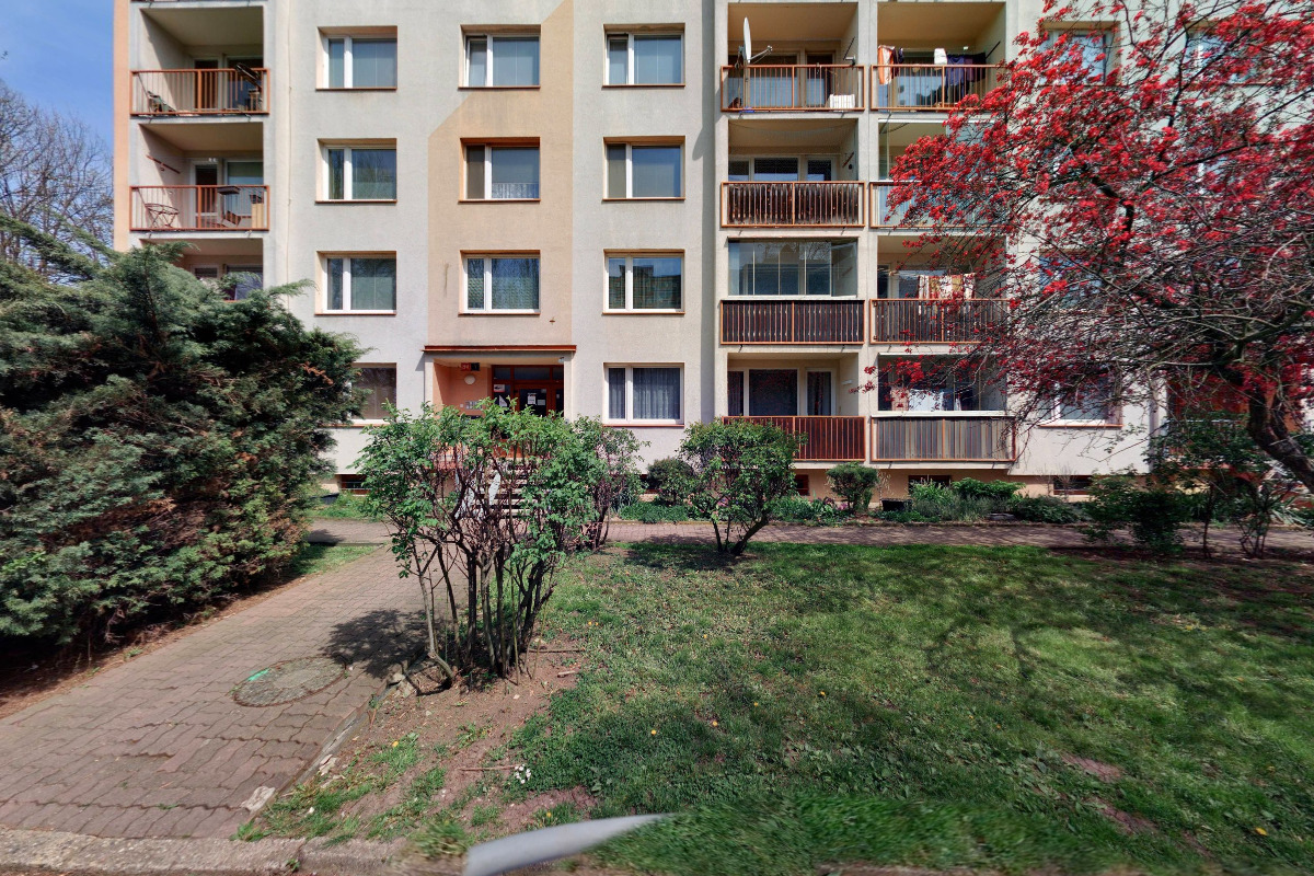 Travesti Show Golden Cats