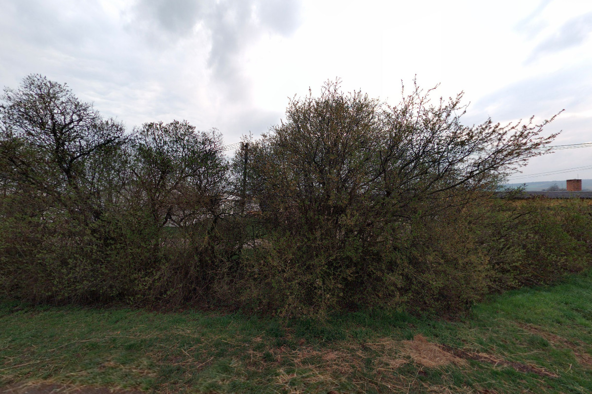 AGROTERNO s.r.o. Kroměříž foto 1