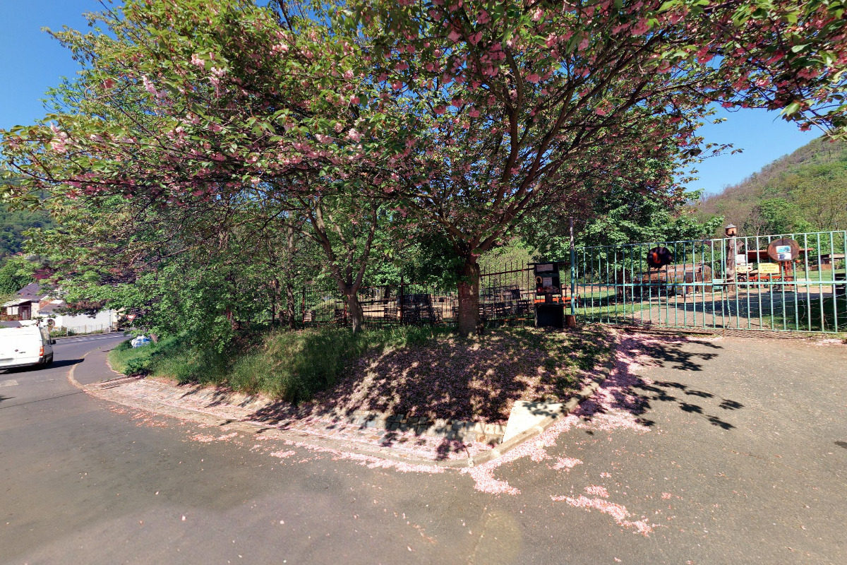 Koně pod hradem Střekovem foto 6