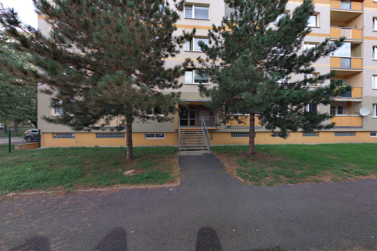 Ing. Karolína Fričková