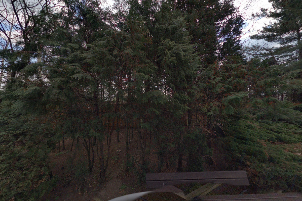 Technické služby města Chomutova