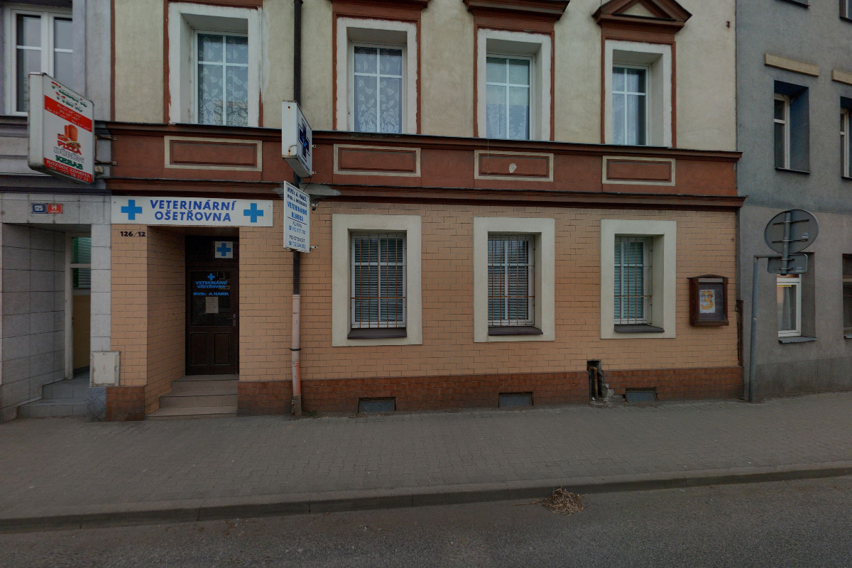 Psí salon Johelína