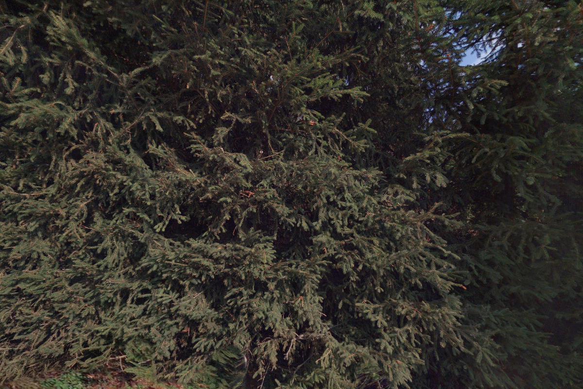 Ing. Petr Bartoněk - Geodetické práce foto 2