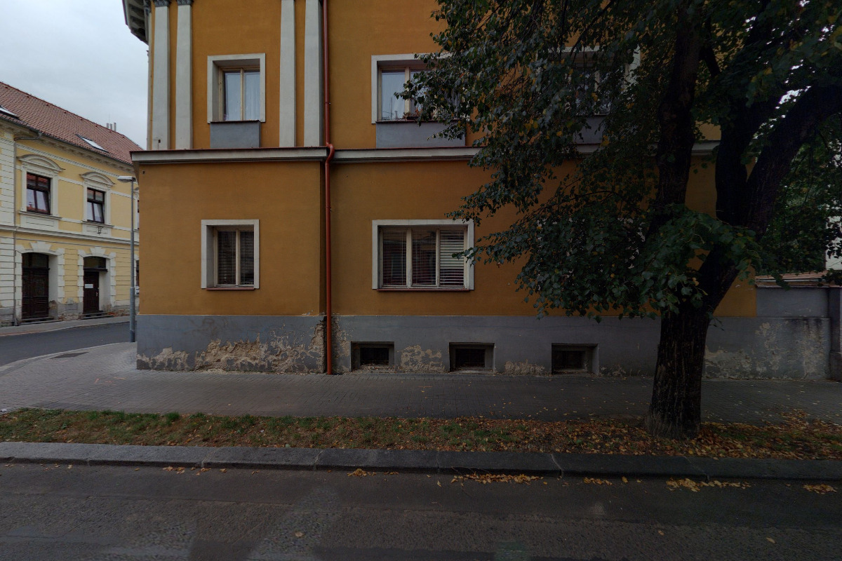 Fond ohrožených dětí - Klokánek foto 2