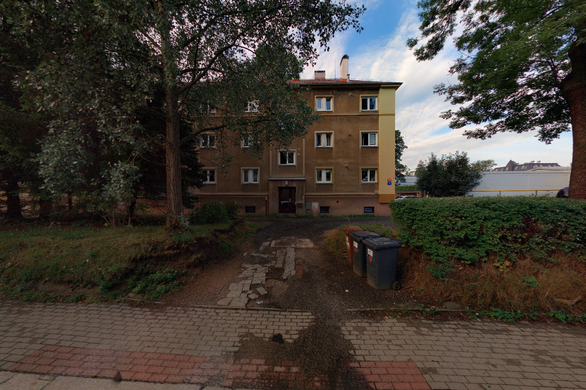 Bc. Tereza Stachová