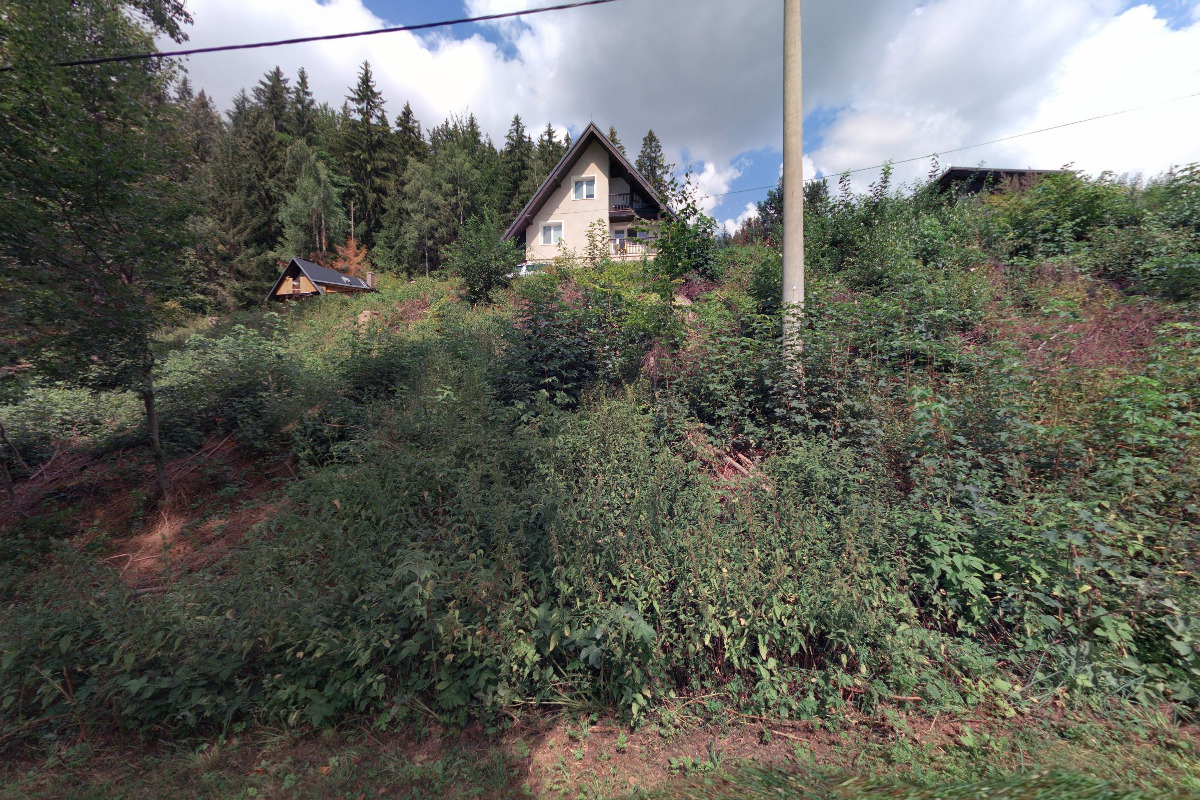 Snubní prsteny Žabka foto 1