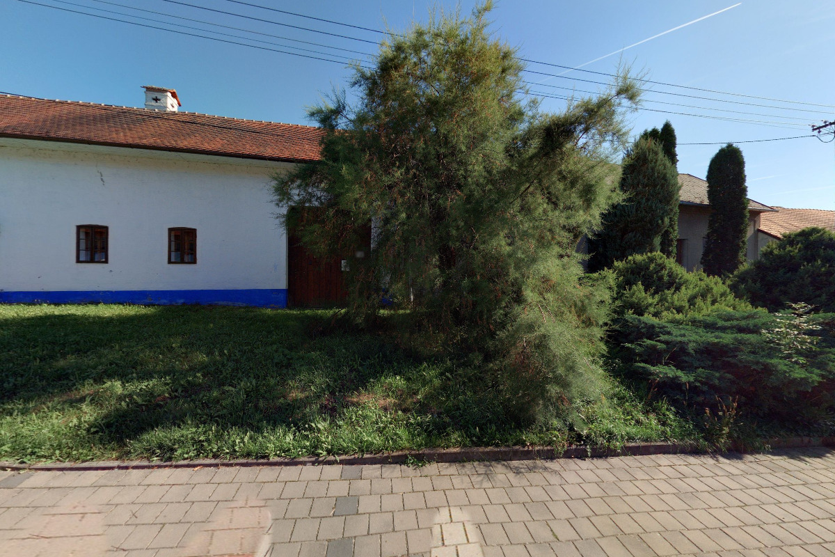 Richard Hrdina foto 2