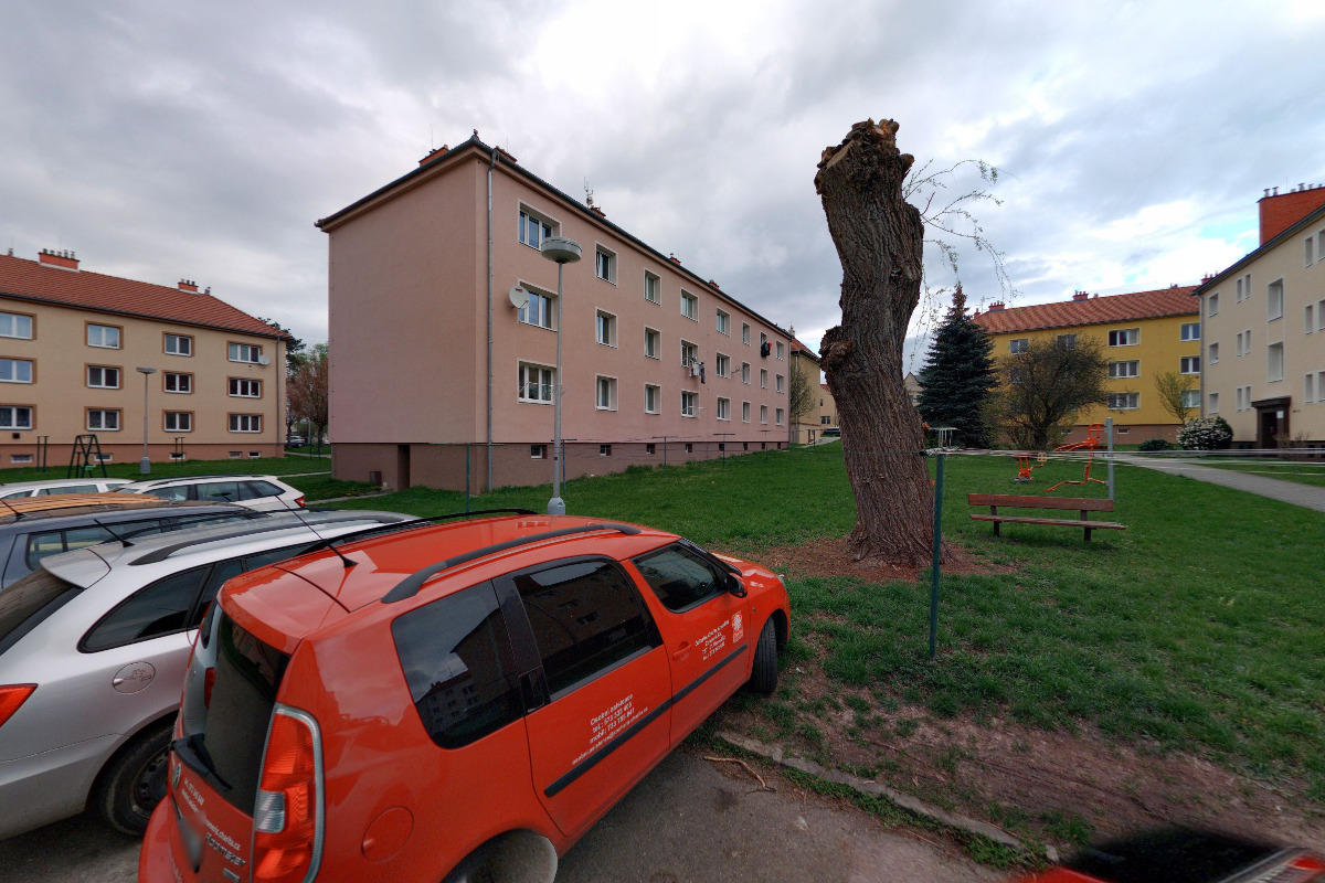 Růžena Pluhařová