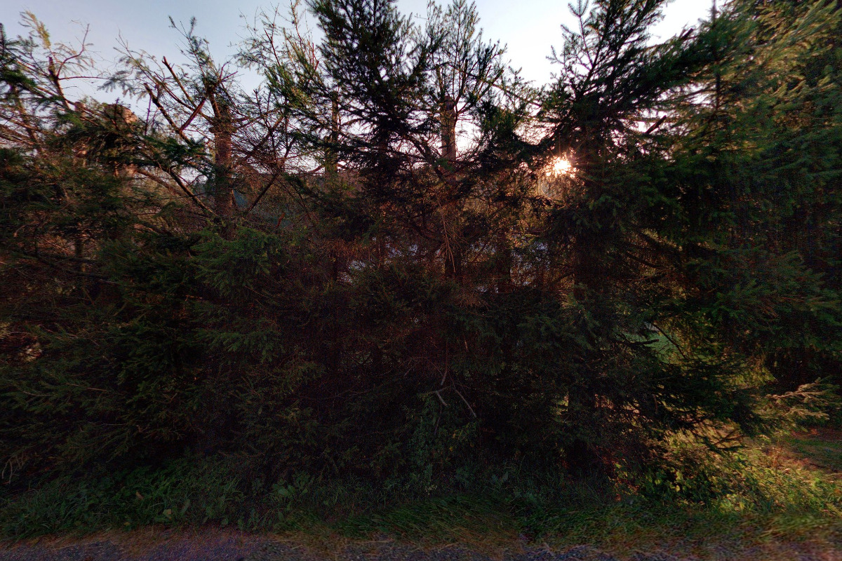 Agro Z pension Ski foto 1