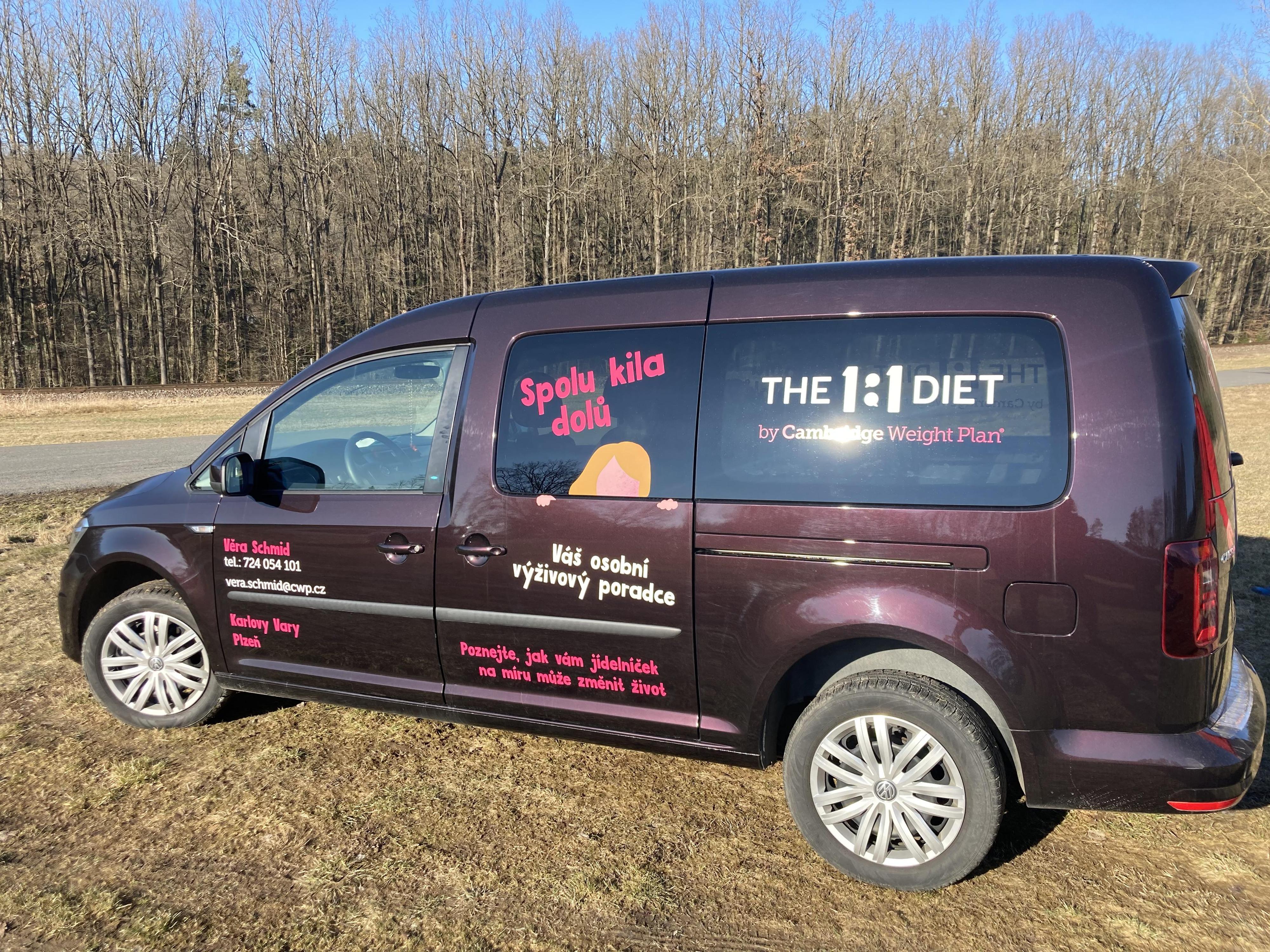 The 1:1 Diet - Věra Schmid