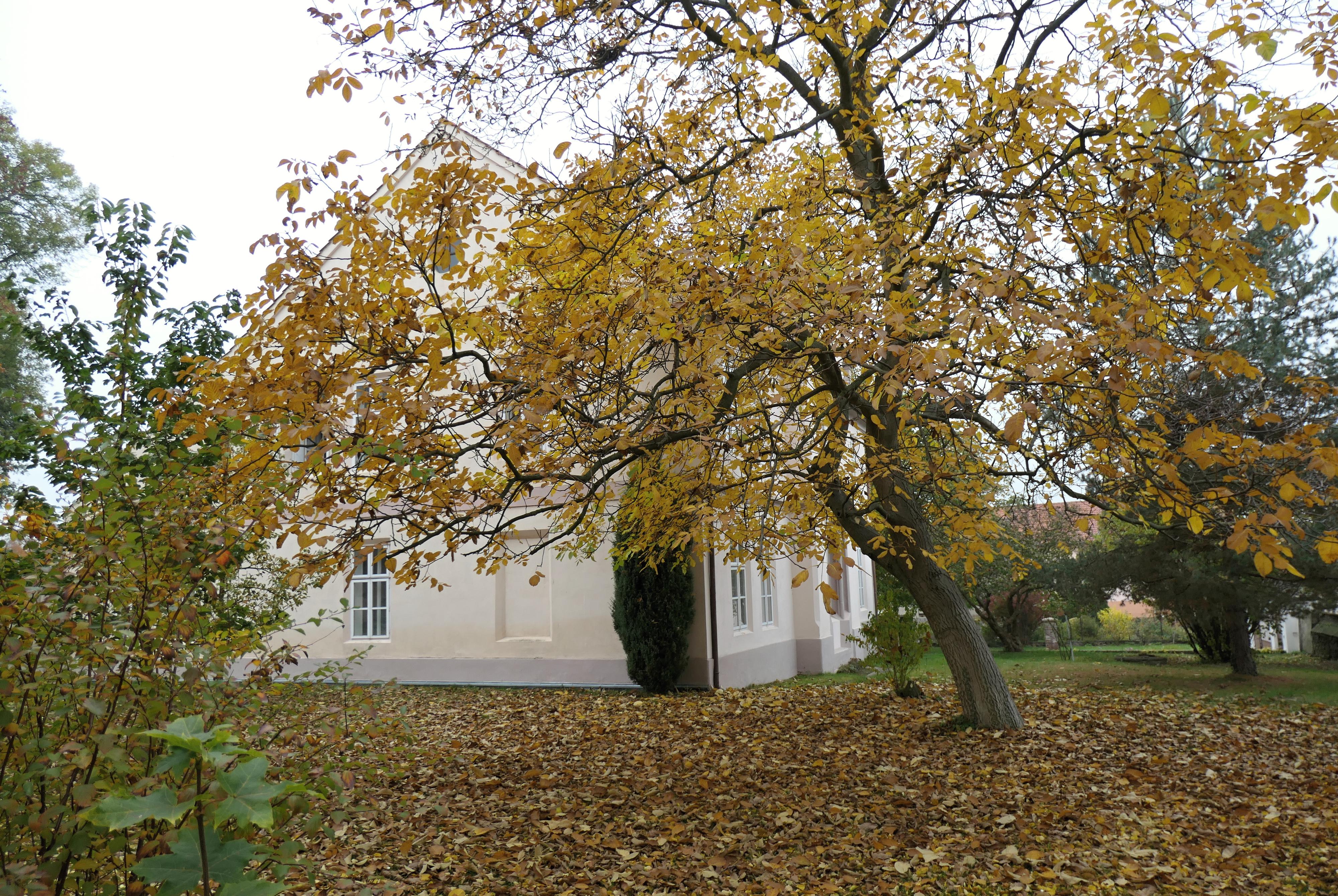 Farní sbor Českobratrské církve evangelické ve Velimi foto 2