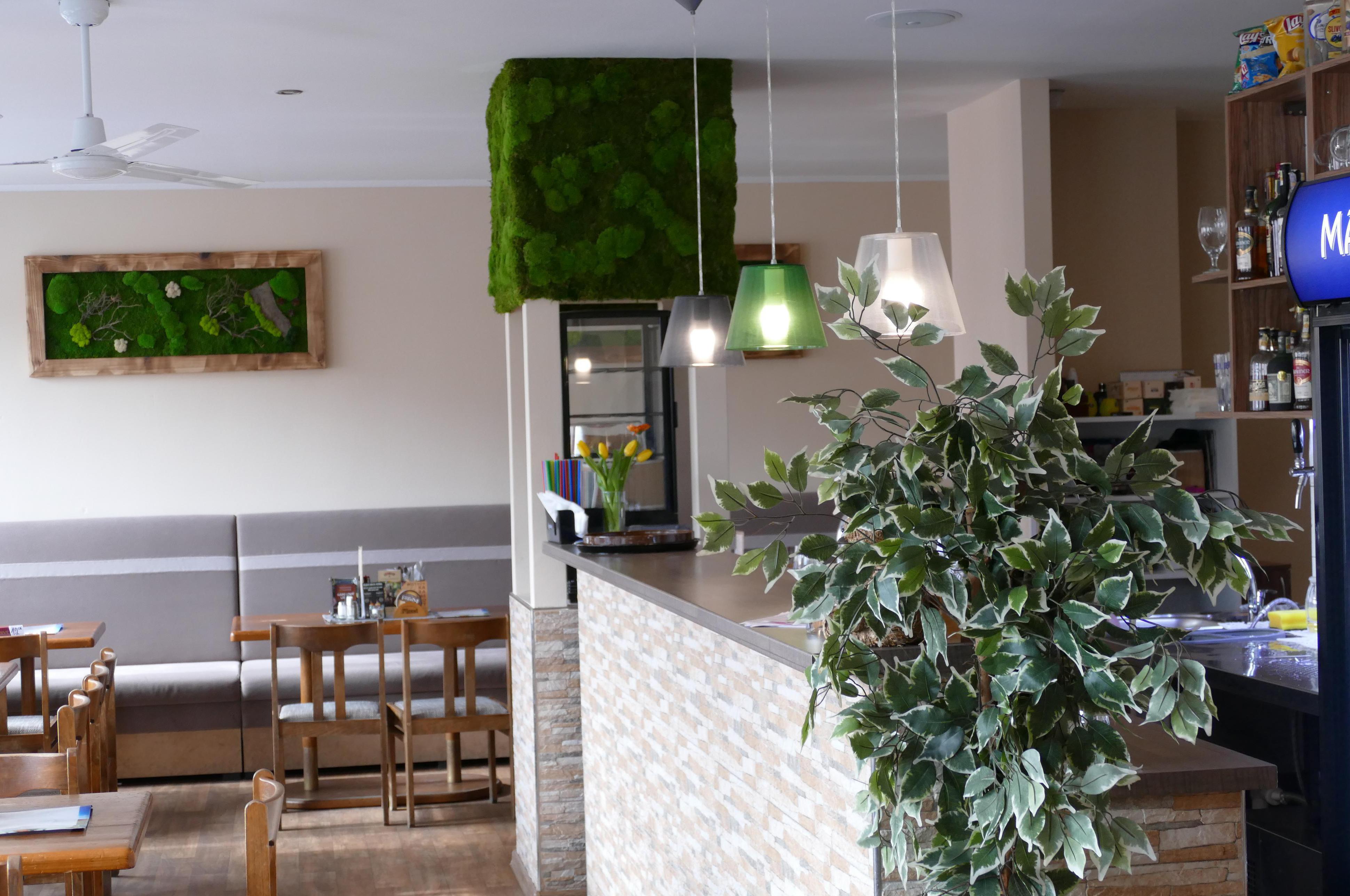 Restaurace U Medvěda