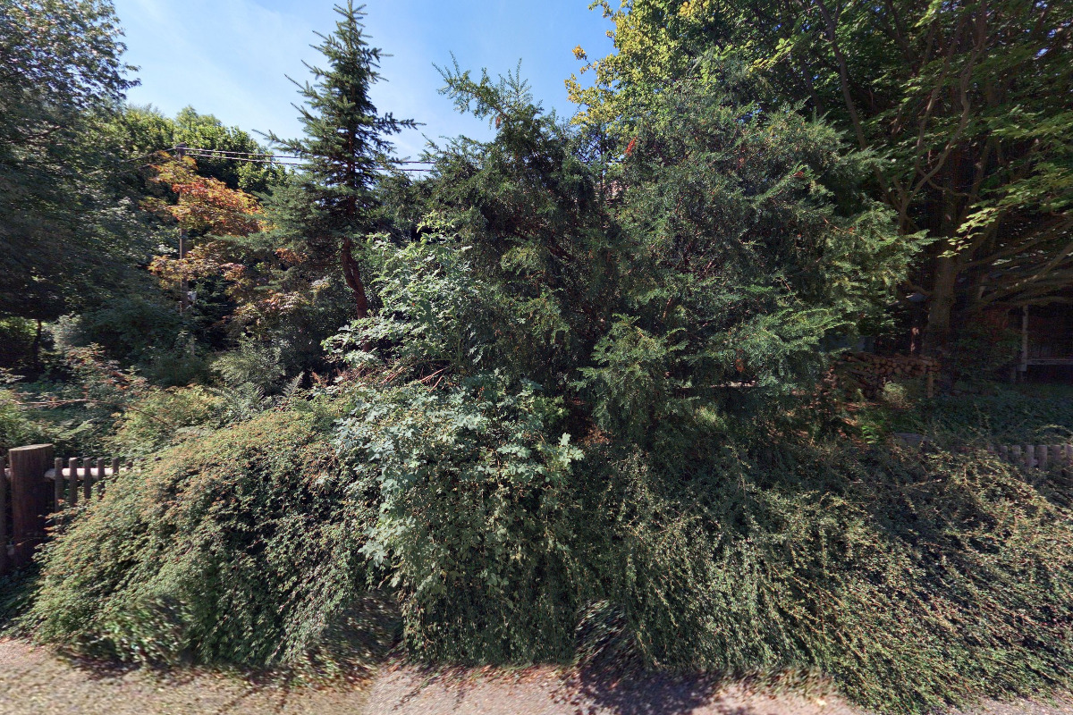 Taneční a pohybové studio Magdaléna