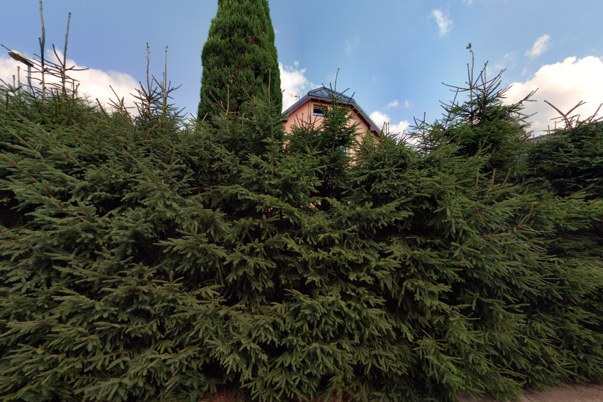 Pneuservis, autoservis Martin Hájek foto 2